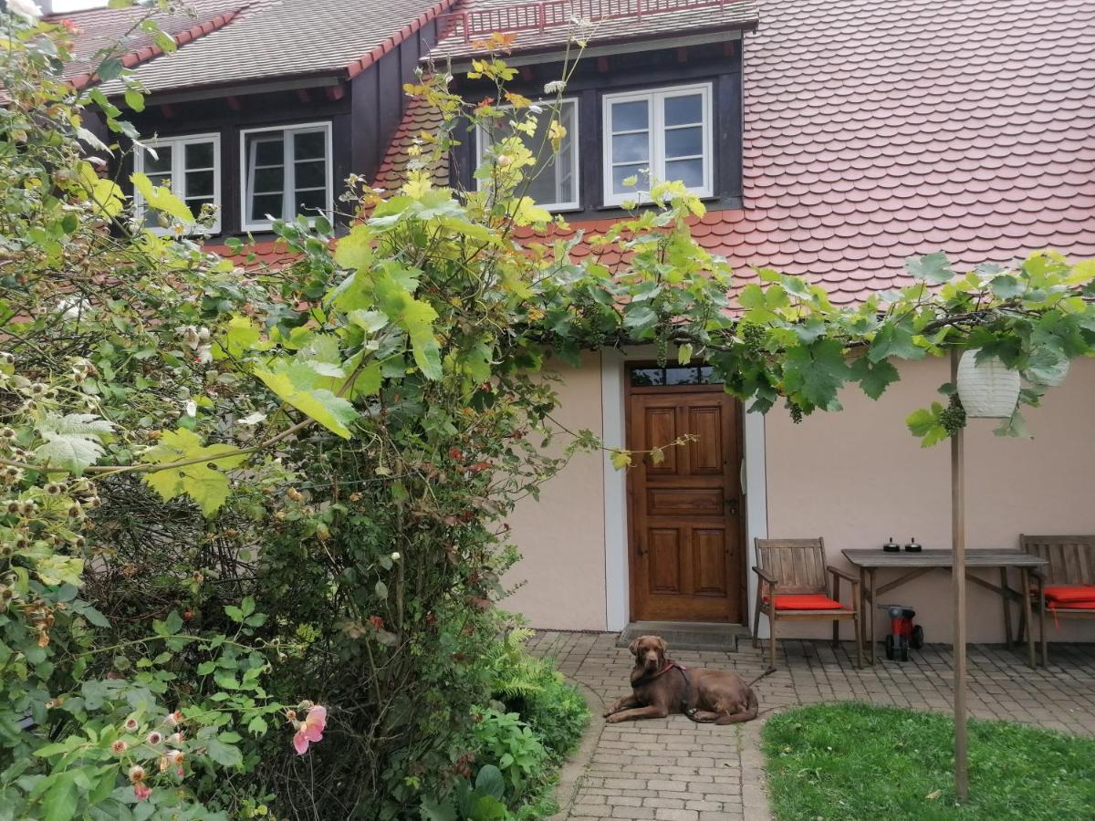 Ferienwohnungen Wastl Fraenkische Schweiz Hiltpoltstein 외부 사진